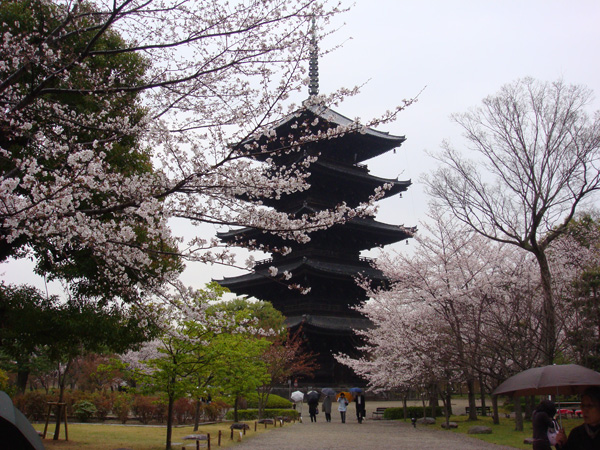 京都の東寺