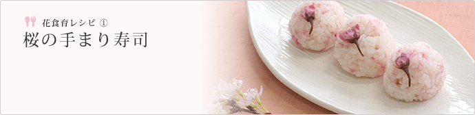 花食育レシピ1「桜の手まり寿司」