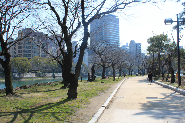 平和記念公園の桜