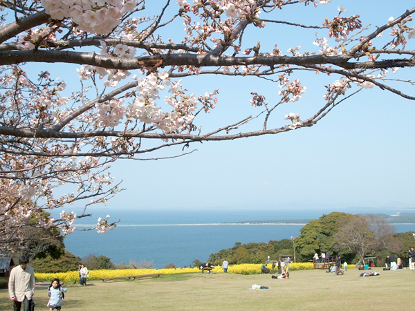 ｢桜｣と｢海｣と｢菜の花｣