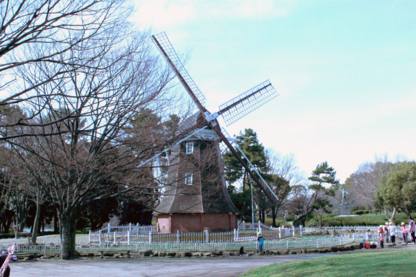 芝生広場公園にあるオランダ風車