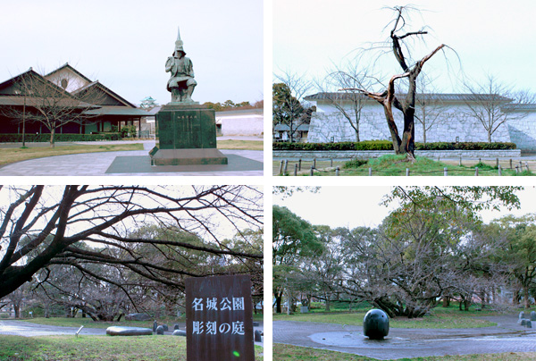 正門から南側に位置する名城公園(彫刻の庭、能楽堂、加藤清正像　周辺)に咲いている桜