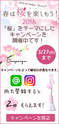 桜キャンペーン2018