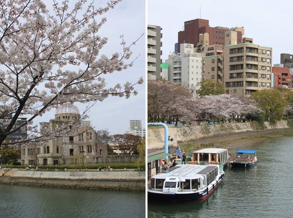 広島平和記念公園の桜