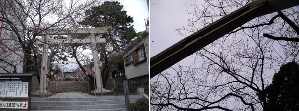 山王日枝神社の鳥居