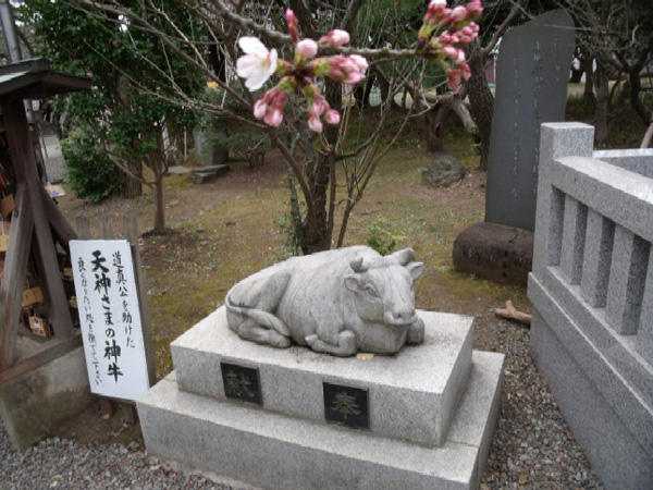日枝神社の天神様の牛