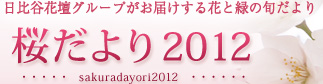 日比谷花壇グループがお届けする花と緑の旬だより｜桜だより2012